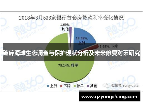 破碎海滩生态调查与保护现状分析及未来修复对策研究